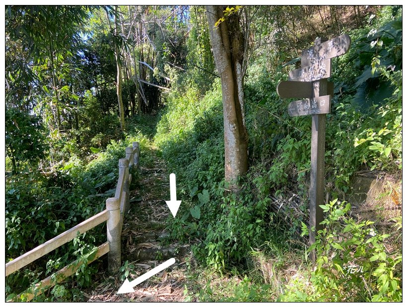 麒麟潭步道、尖子頂山(南投、鹿谷)_2665779