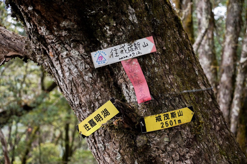 戒茂斯上嘉明湖三天兩夜_2769384