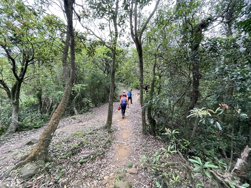 汐止-石碇_2761547