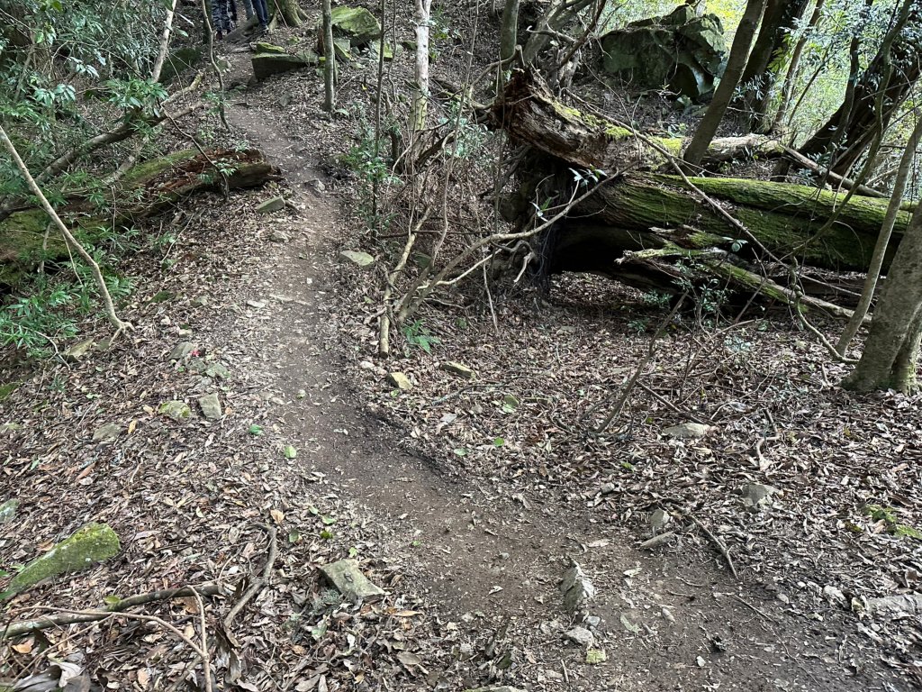 歷史與美景的夢幻國家步道霞喀羅_1963723