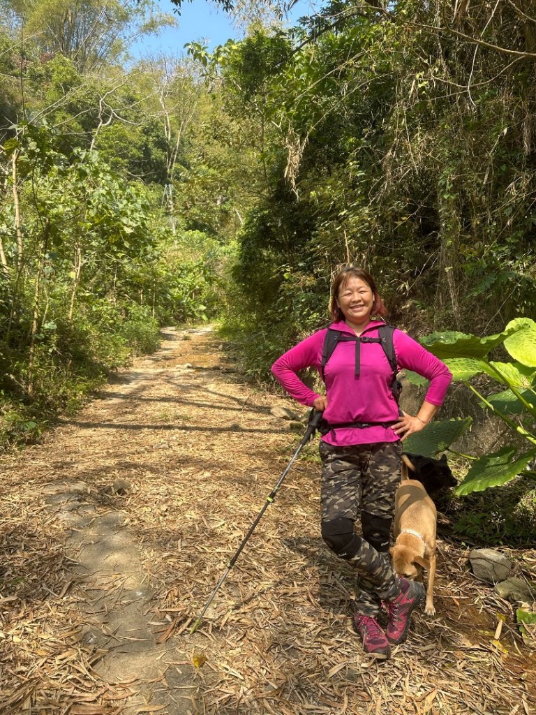 高雄美濃月光山_2734905