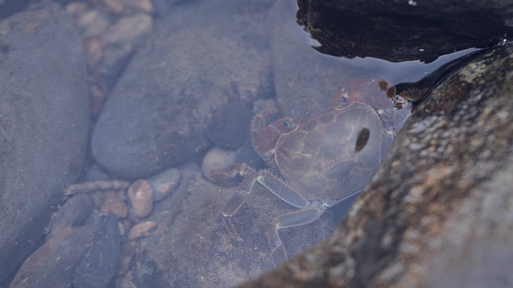 從新北走到宜蘭-坪溪古道 & 石空古道_1839436