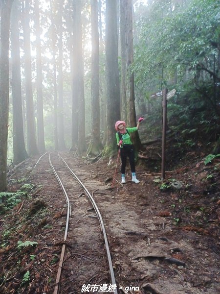 【苗栗南庄】裊裊雲霧台版富士山。 小百岳集起來。編號 34小百岳~加里山。 【台灣小百岳】 我玩登了_1903066
