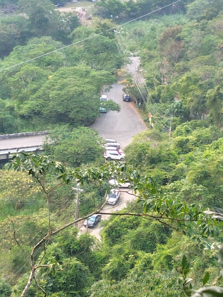 唐麻丹山 蝴蝶谷_2918999