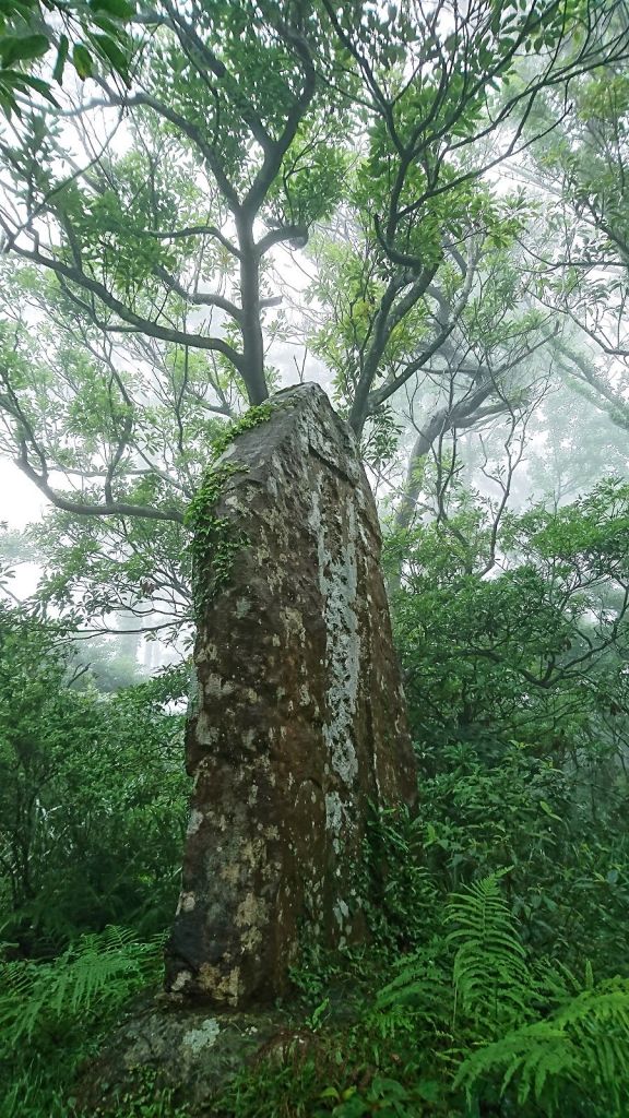 梅雨特訓~陽明山四湖連走_137631