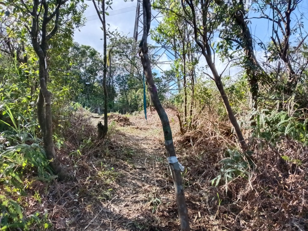 基隆市/萬里區界寮縱走之三界山+三界山西峰+開眼尖山+七分寮山+瑪七產道山泉水接水亭_2979600