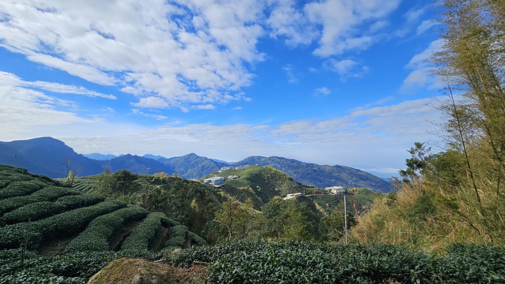 241222-O繞第二座溪頭六連峰(羊頭崙山⮕水桶寮山⮕內樹皮山⮕三叉崙山⮕龍鳳峽山⮕龍鳳山)。美美_2679320