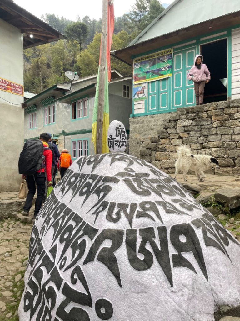 尼泊爾聖母峰EBC基地營❤️風景篇_2790921
