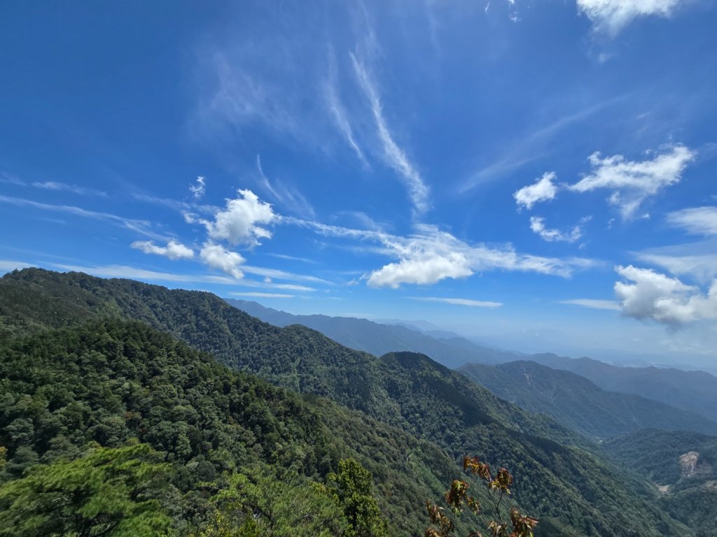 鳶嘴山杜鵑盛開_2770374