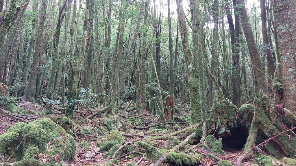 小雪山 船形 鞍馬 天池 啞口O型 _1142135