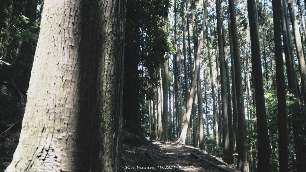 《苗栗》遺世鐵道｜悠遊加里山大坪支線至避難山屋20250822_2867565