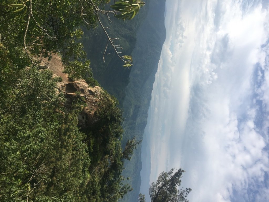 無聊☕️封面圖