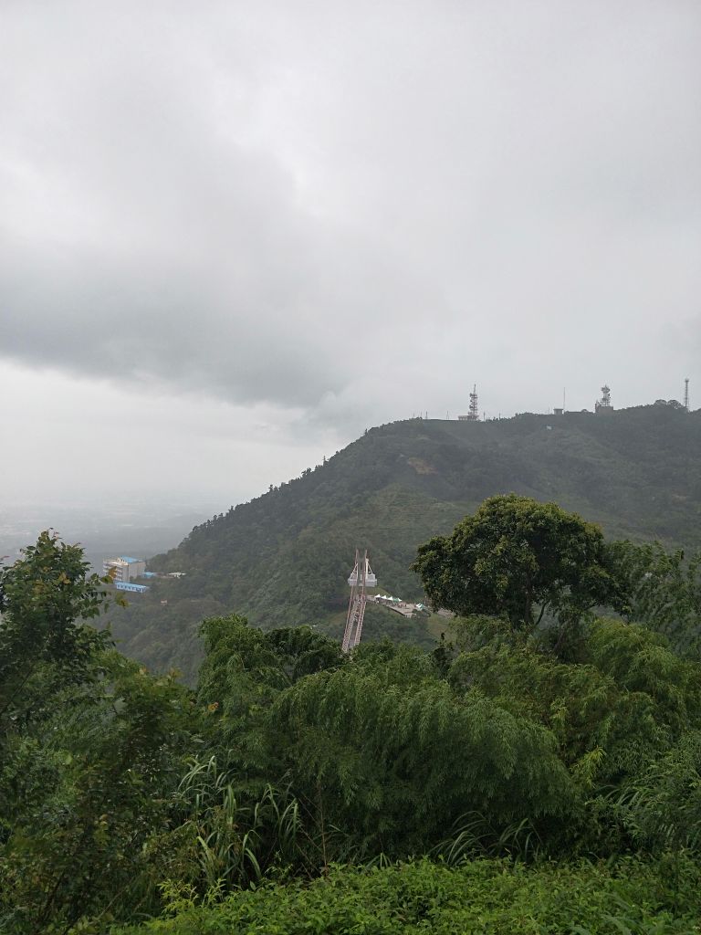 太平雲梯吊橋步道_397185