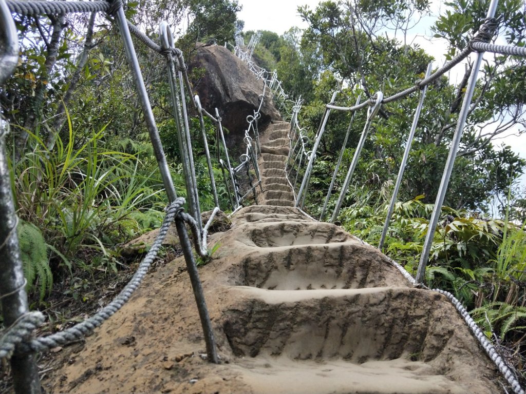 孝子山 慈母峰 普陀山_1104698