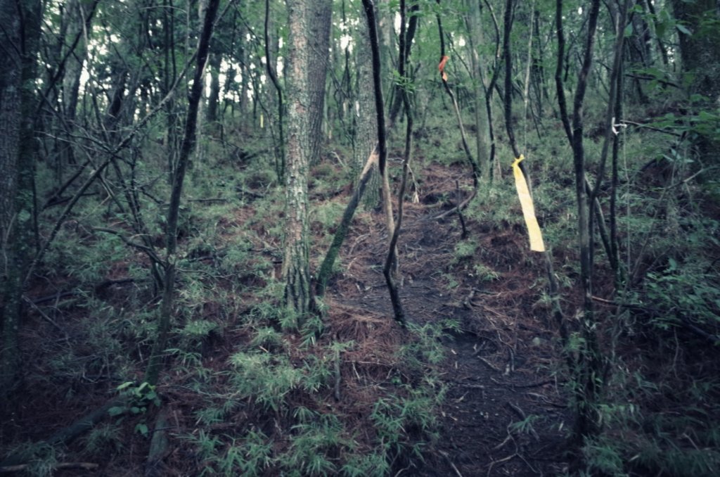 屏風山單攻_631410