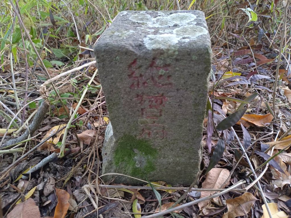20221218台中太平東南坑山、小中坑山_1957780