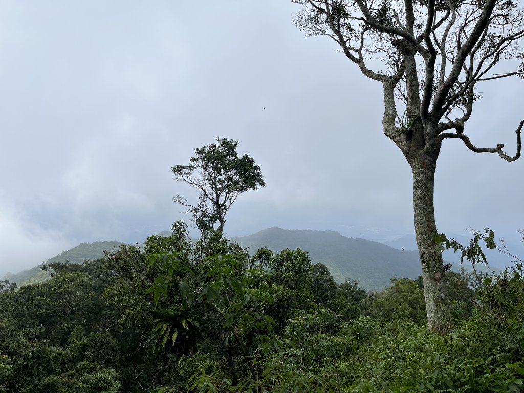 舊白鷺部落-久保山-久集山-棚集山-丹林 2025.8.7_2864026