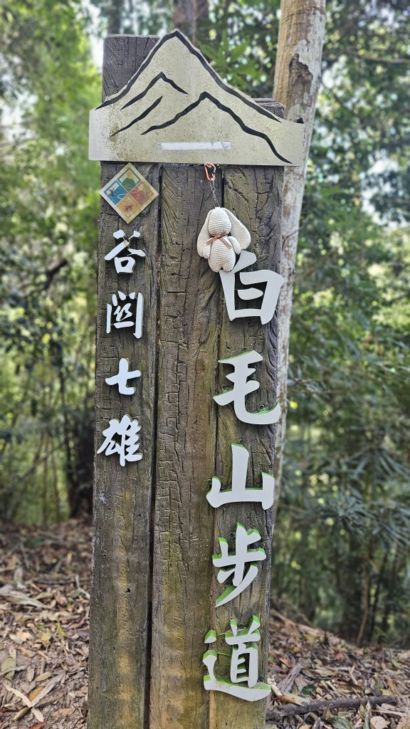 【美美兔走山趣】谷關抓雄-老六白毛_2749944