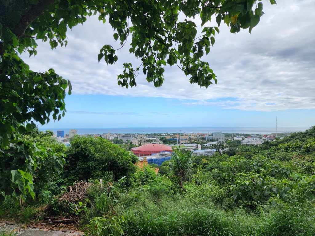 台東｜鯉魚山_2638607