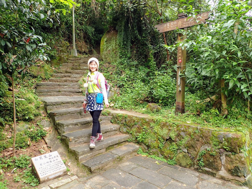 白鷺鷥山-康樂山-明舉山-東湖樂活公園_537616