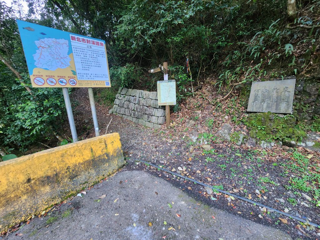 20260214磨碧潭山(坪林上三角崙山失敗中途撤退)回程順遊大尾山步道鬼子瀨尖封面圖