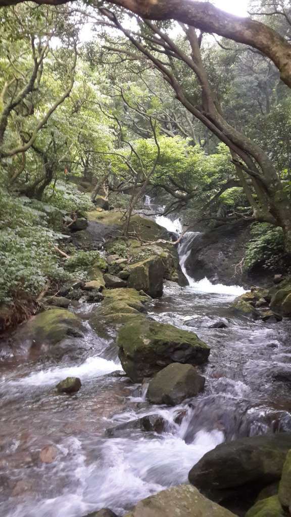 菜公坑古道, 大屯溪古道, 小觀音山封面圖