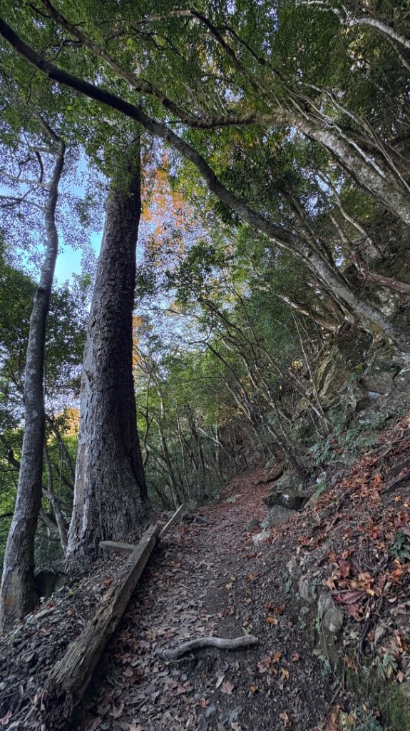 冬ㄖ奇遇_2972361