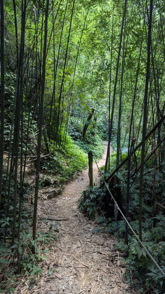 關刀山步道 (出關古道：聖關段)_2532860