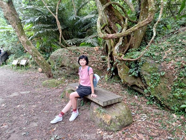 【苗栗南庄】沿途潺潺溪水聲。 蓬萊溪護魚步道_2688897