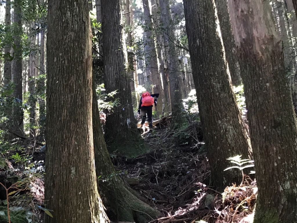 大混山連走李崠山_397923