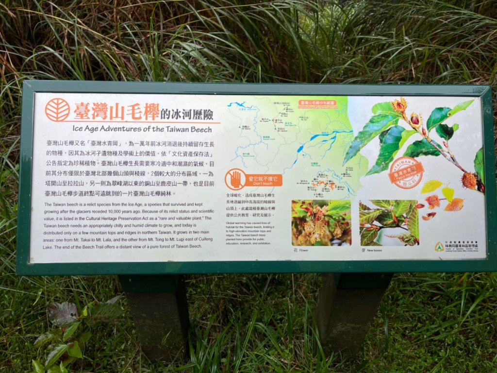 宜蘭 南澳 台灣山毛櫸國家步道_1881361