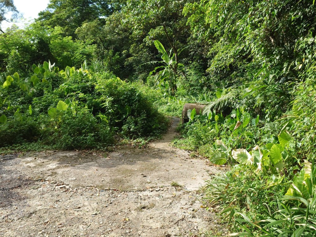 微笑山線之烘爐地任務_2836521