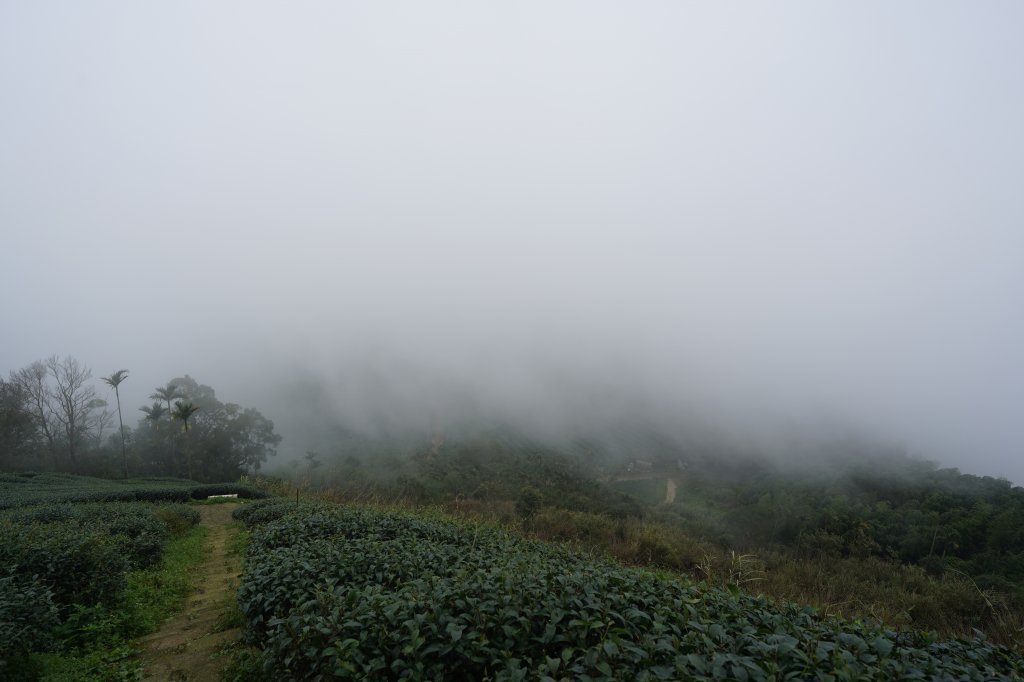 雲嘉九連峰_1438896
