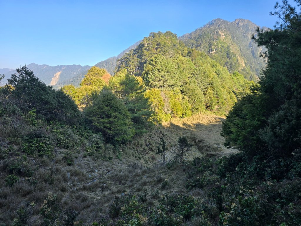 卓社大山〔武界栗栖溪登山口起登〕_2748441