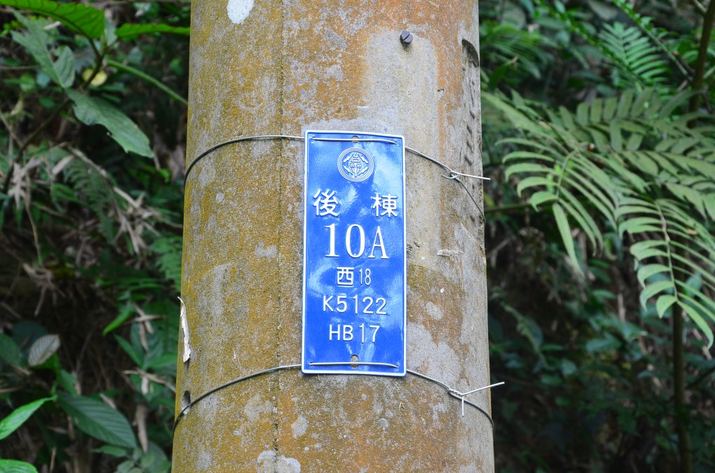 後棟仔山_1230515