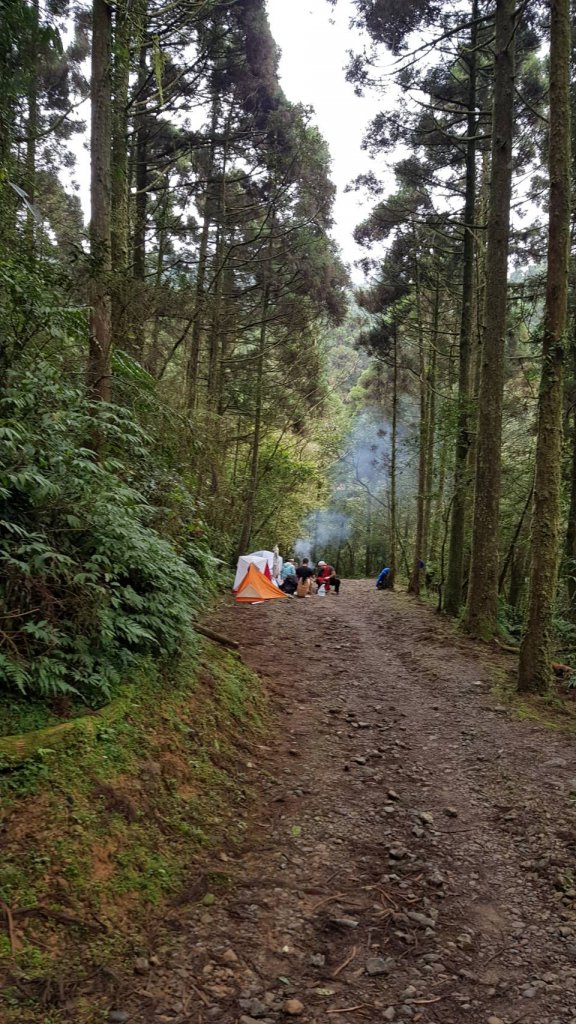 淡蘭古道坪溪段_1294151