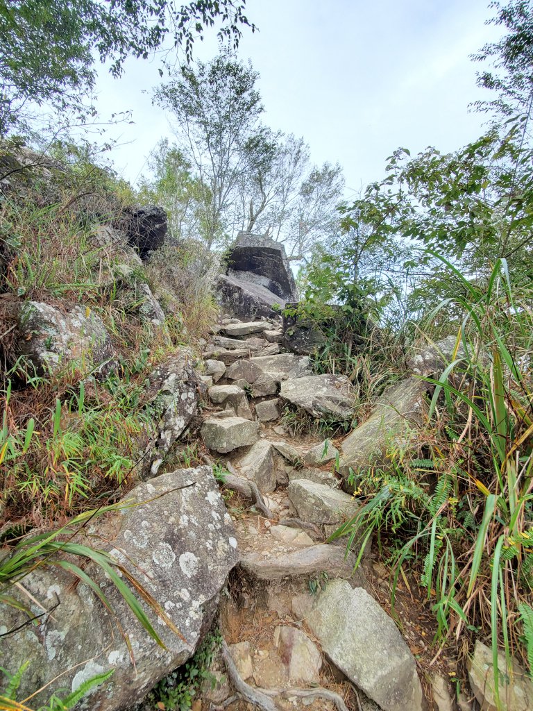 【谷關 | 東卯山】_1144886