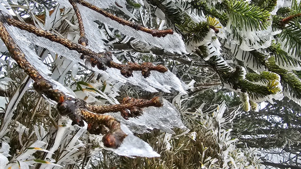 112.3.13～3.14 冰封奇萊主北_2074299