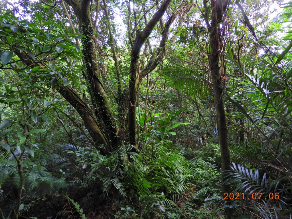 基隆 七堵 仙洞湖山_1422598