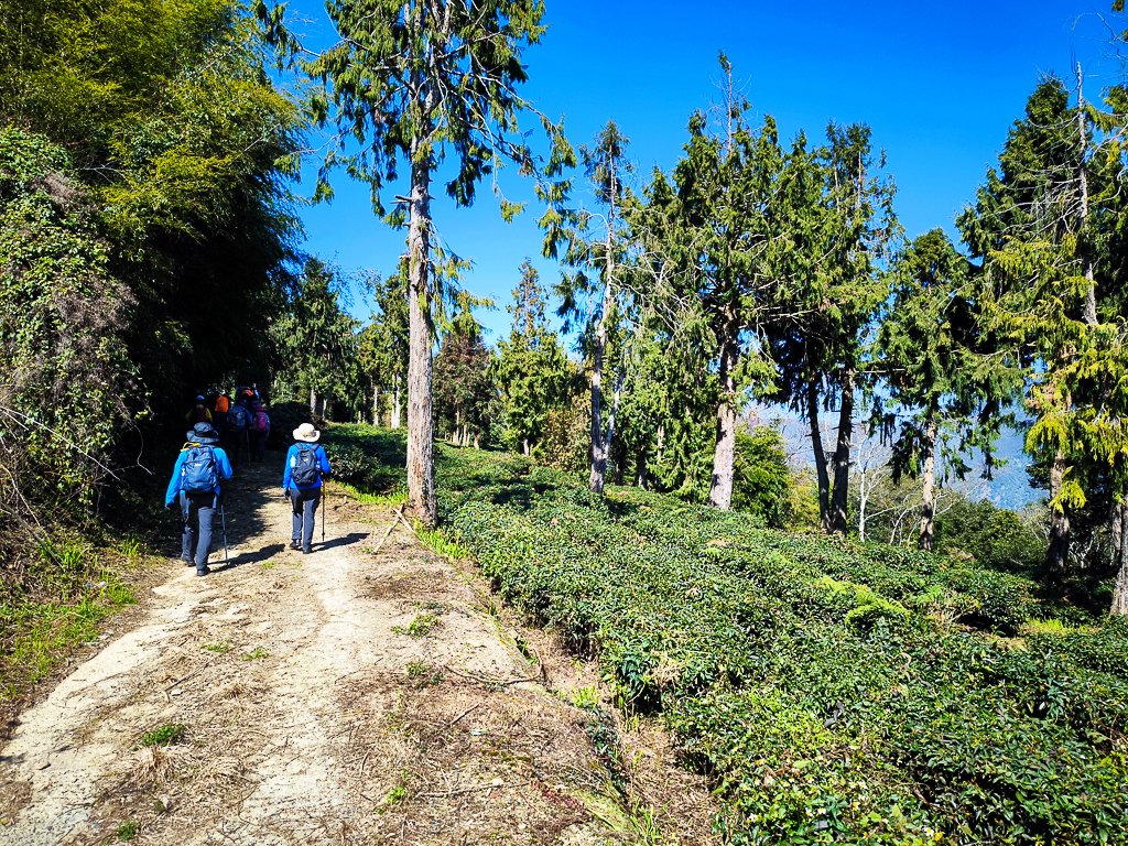 2025-02-16 巴蜈縱走_2714337