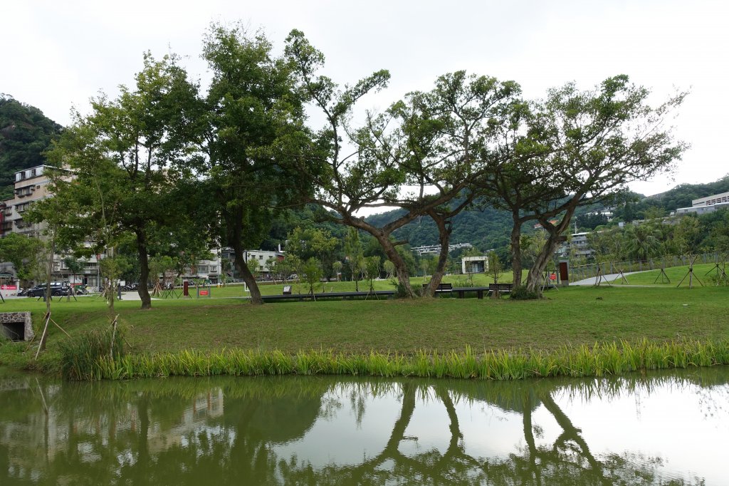 永春陂濕地公園_1105524