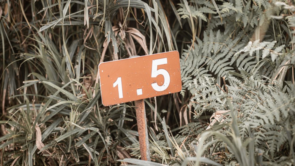 菅芒浪白｜五分山_2356464