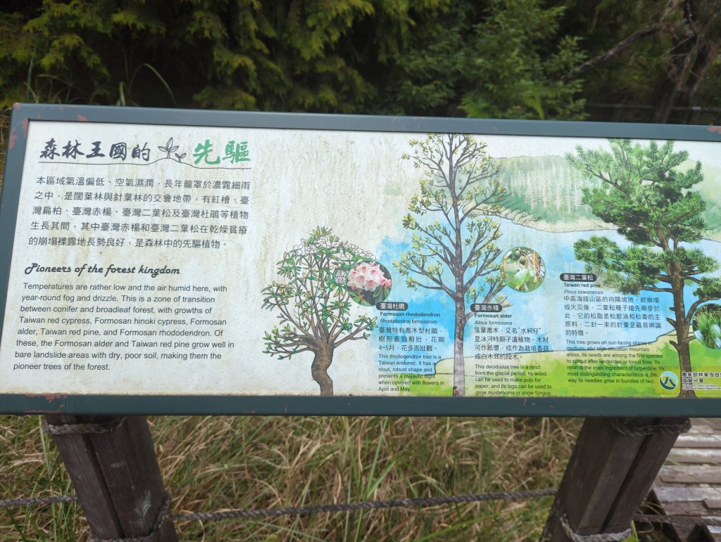 20424.06.22－翠峰湖步道_2532297