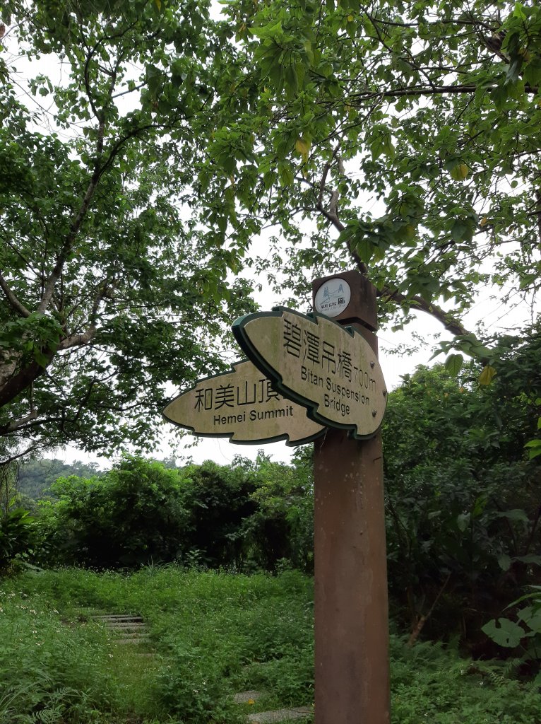 月亮忘記了〡最孤獨的時候，最溫暖的陪伴_687156