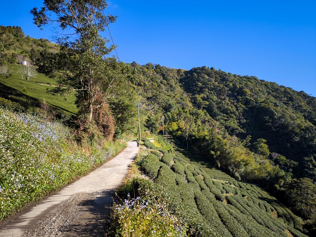 2025-12-21 武界山、獅凸魯山、橫屏山、橫屏山西峰_2969673