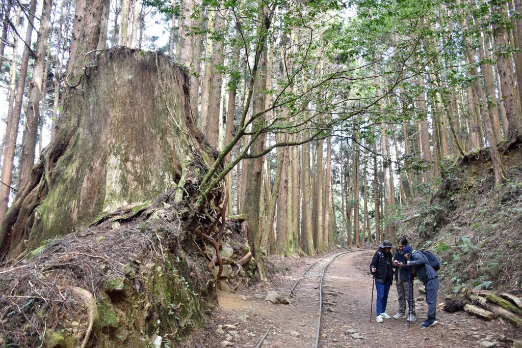 20241215冬季特富野古道_2674413