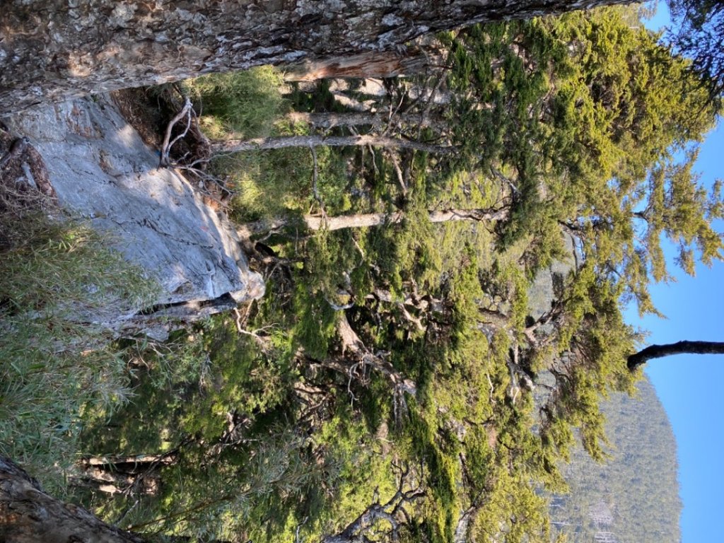 白姑大山_2130221