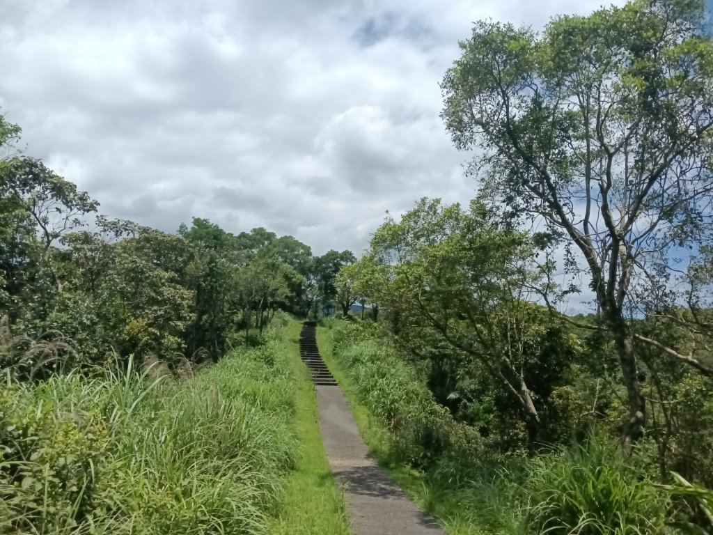 貢寮區文秀坑古道+觀日嶺步道O型_2809219