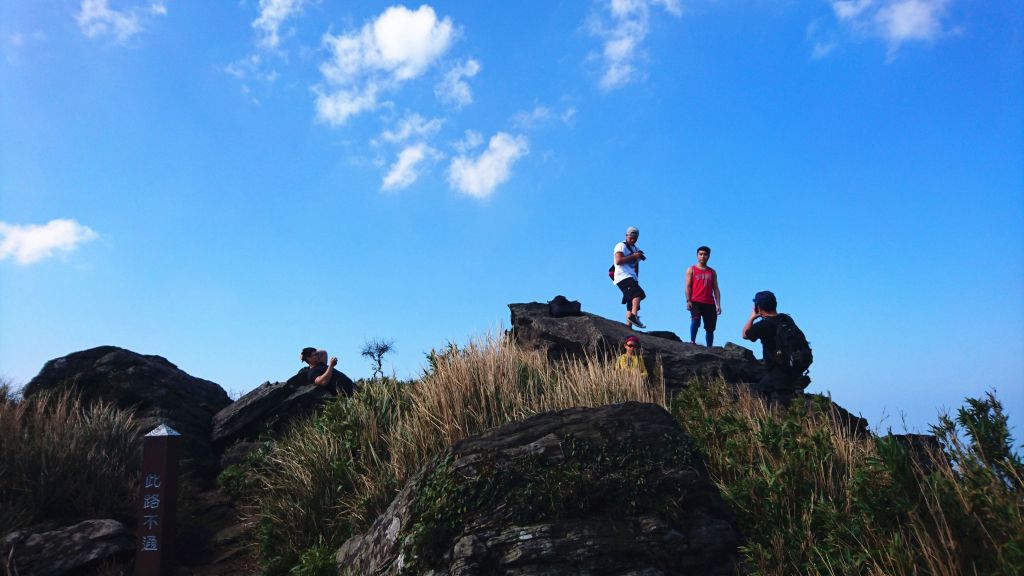 小觀音山群峰_137215