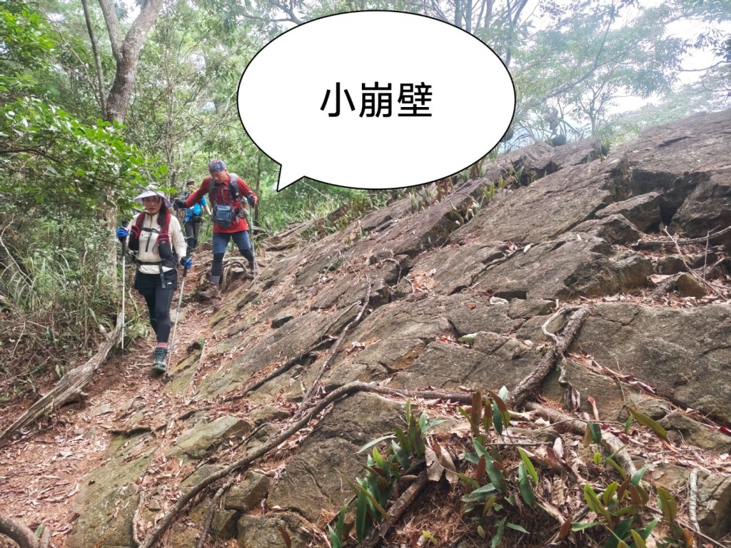 阿冷山 谷關第八雄_2877411